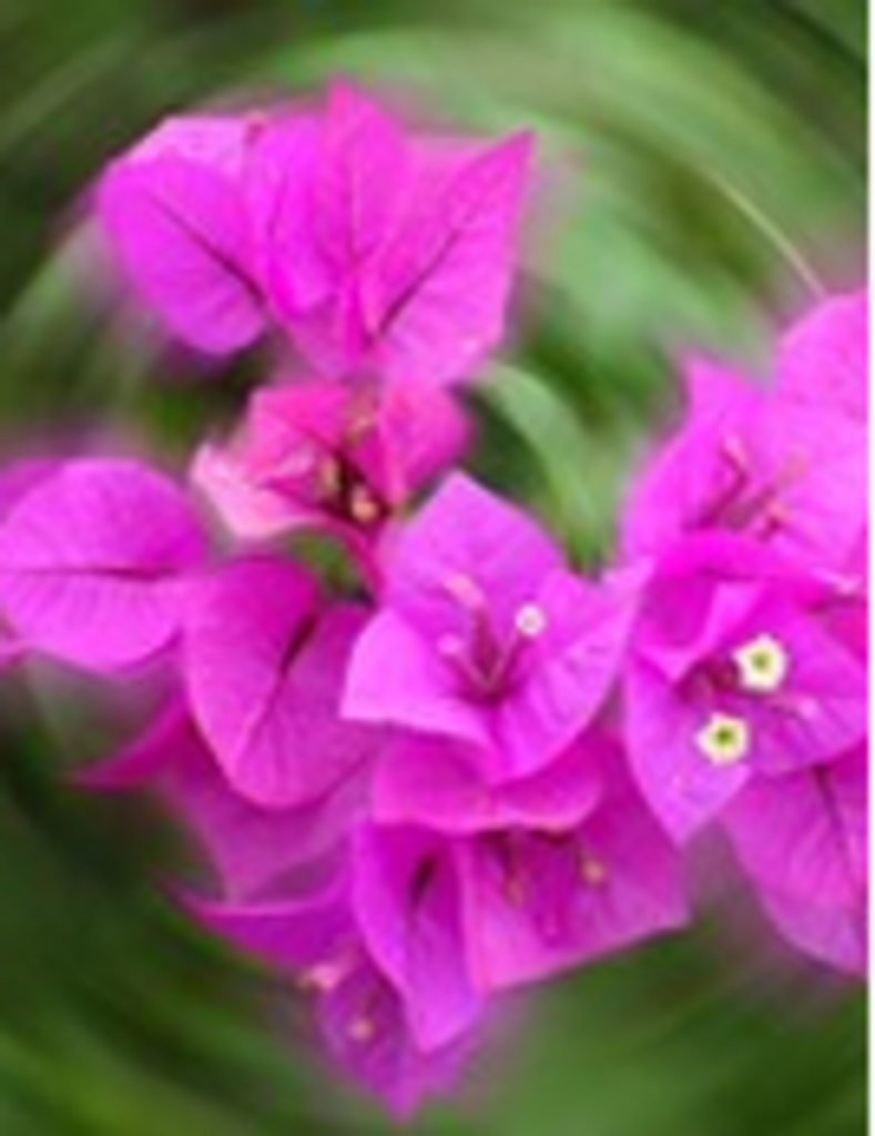 Susie Kay (Davis) Johnson