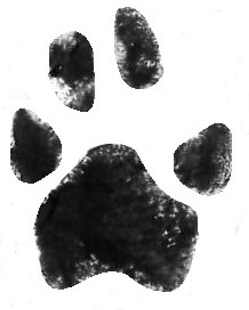 Abraham Lincoln Parsons Profile Photo