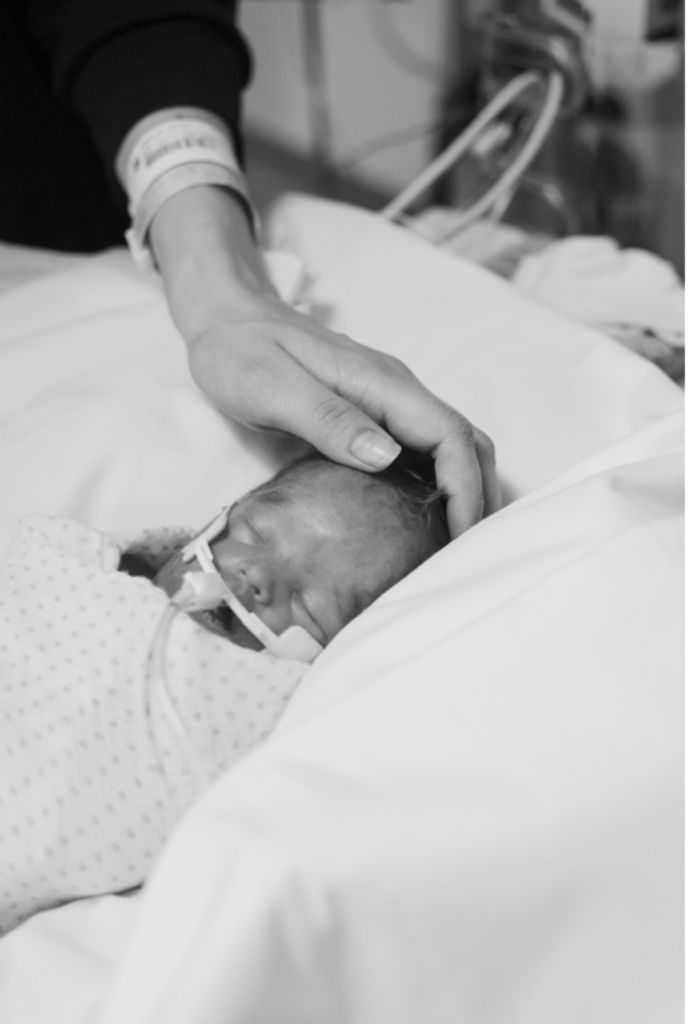 Liam Lamont Wheeler