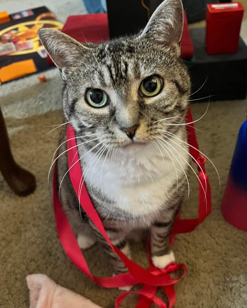 Jack Vessell Profile Photo