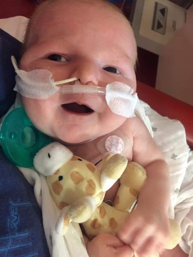 Jaylen Jackson Shears Profile Photo