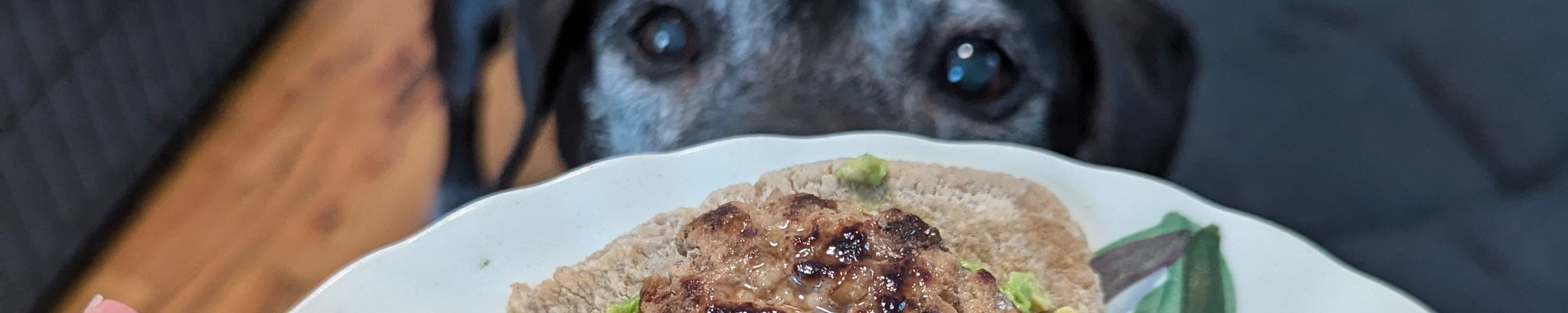 Cover photo for Boomer's Obituary