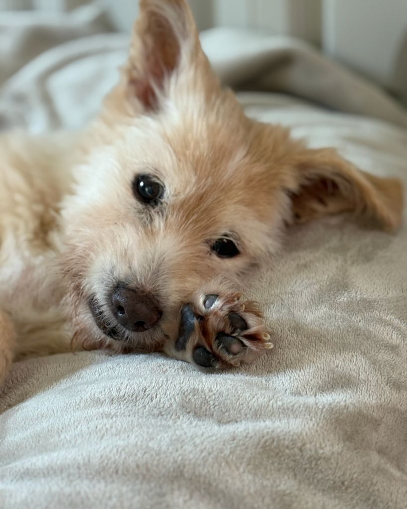 Caramel Forrester Profile Photo