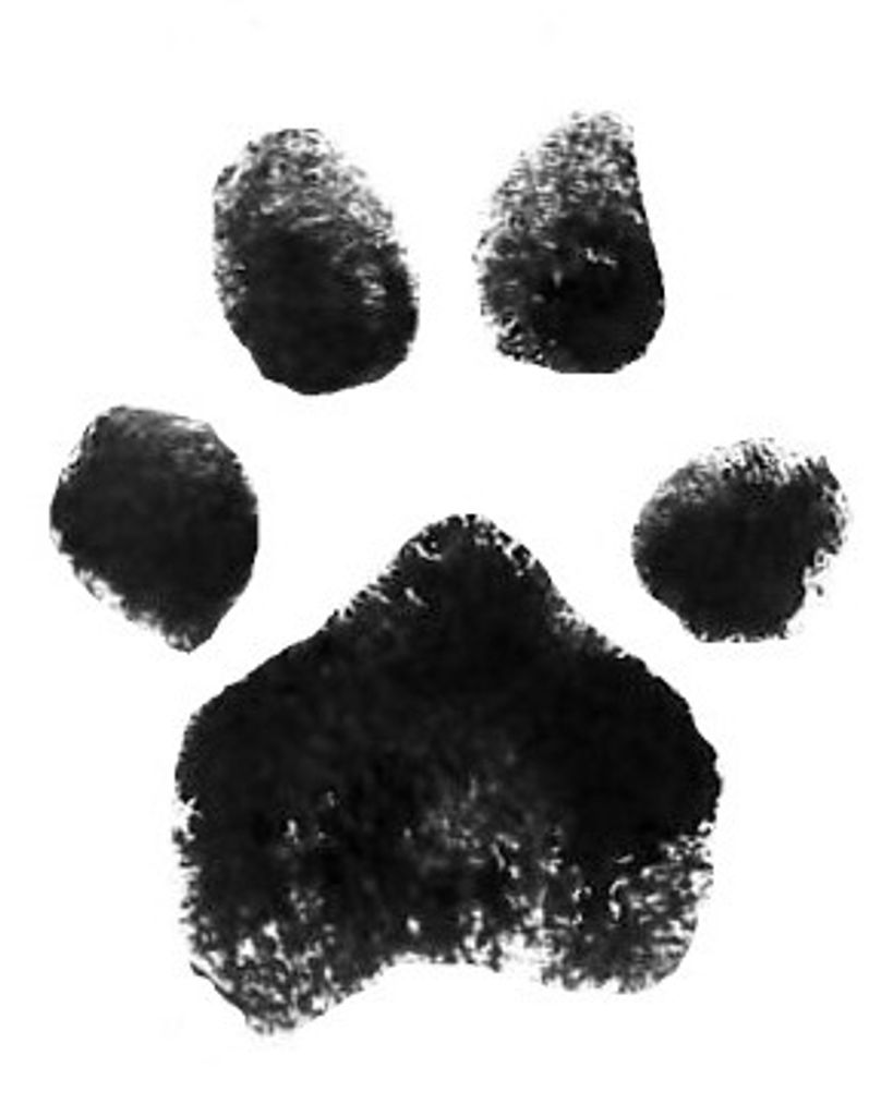 Pipsy Sims Profile Photo