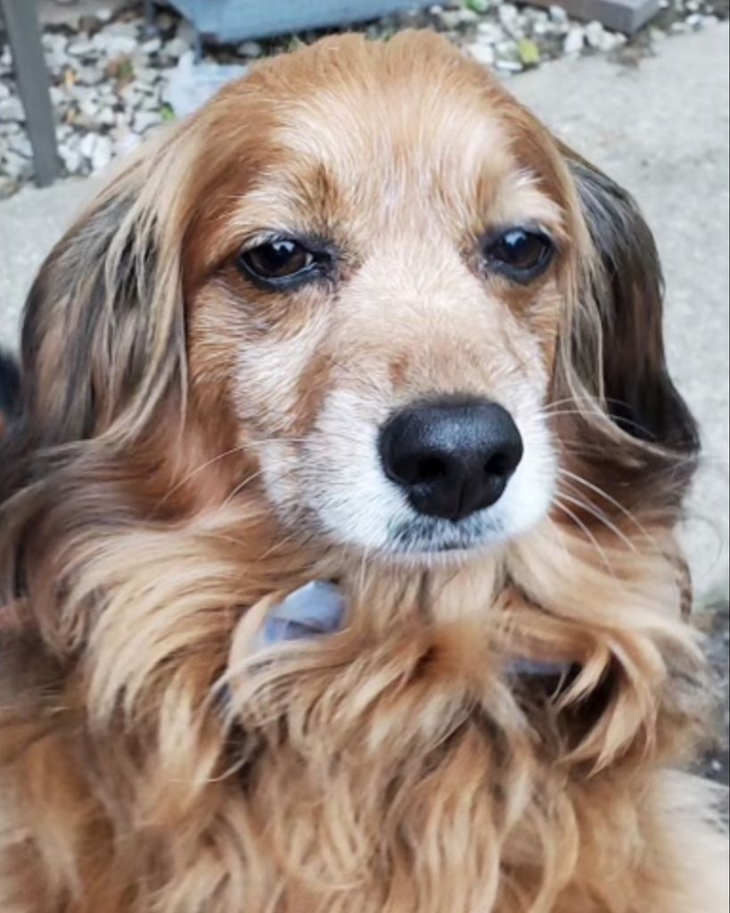 Trixie Kate