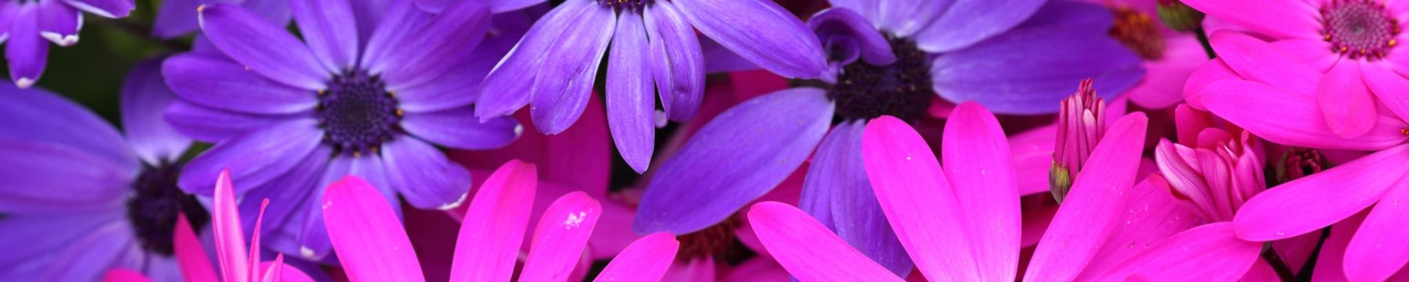 Cover photo for Madeline Jane Raikes's Obituary