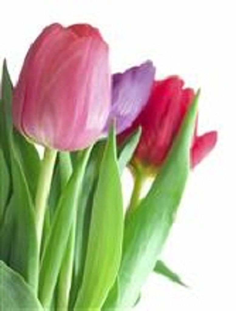 Verna Gilliam Stephens