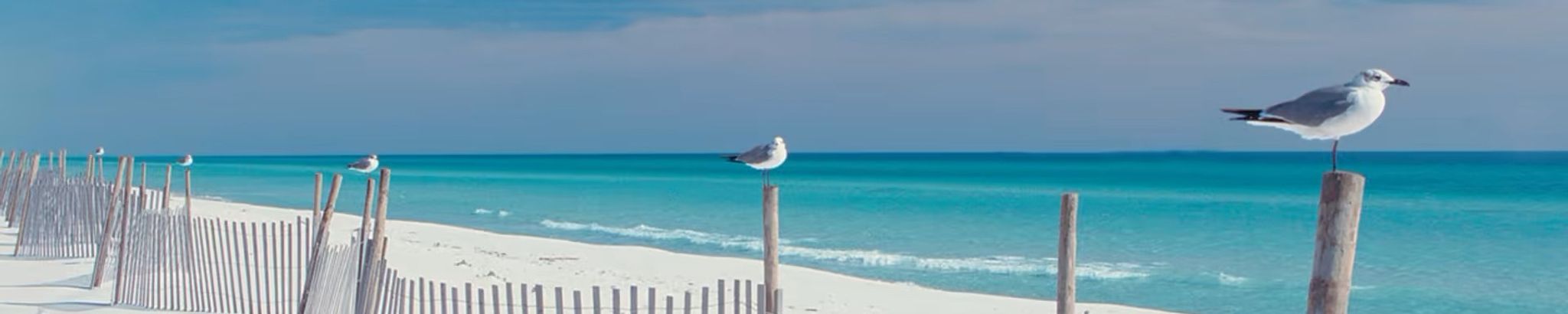Cover photo for Randy Current's Obituary
