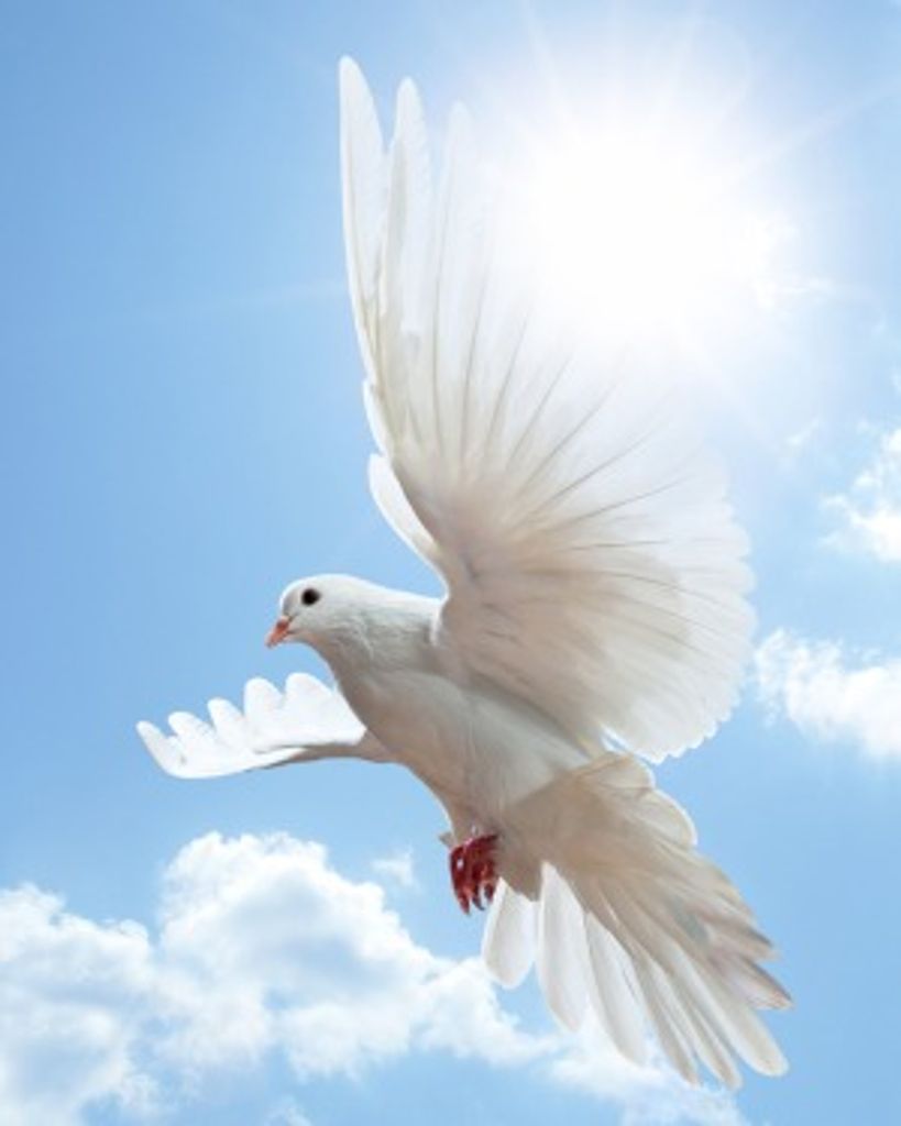 Betty Thompson Haygood Profile Photo