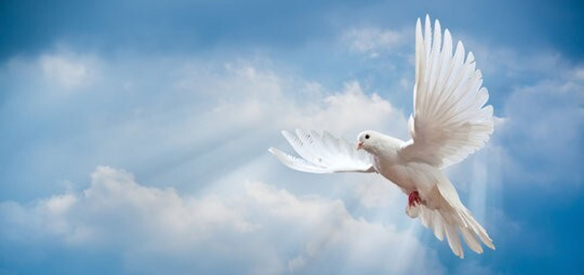 Cover for Jo Ann Hess Berend's Obituary