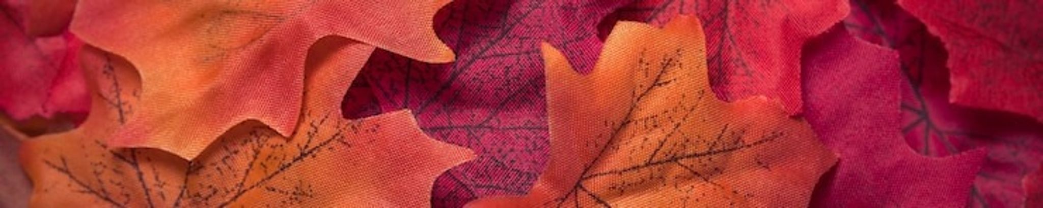 Cover photo for Alison L. Daggett's Obituary