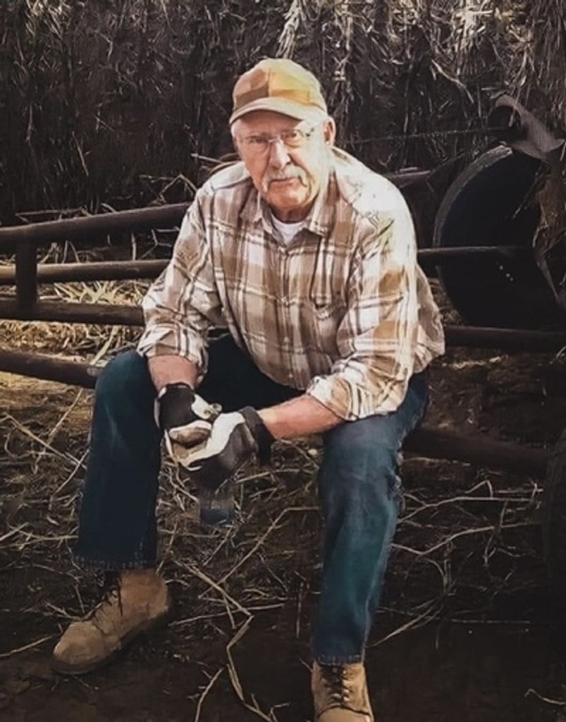 W N Chatfield Profile Photo