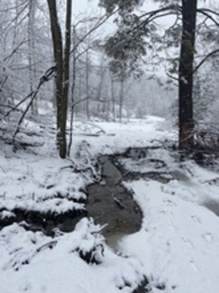 Garrett William Paul Desch Profile Photo