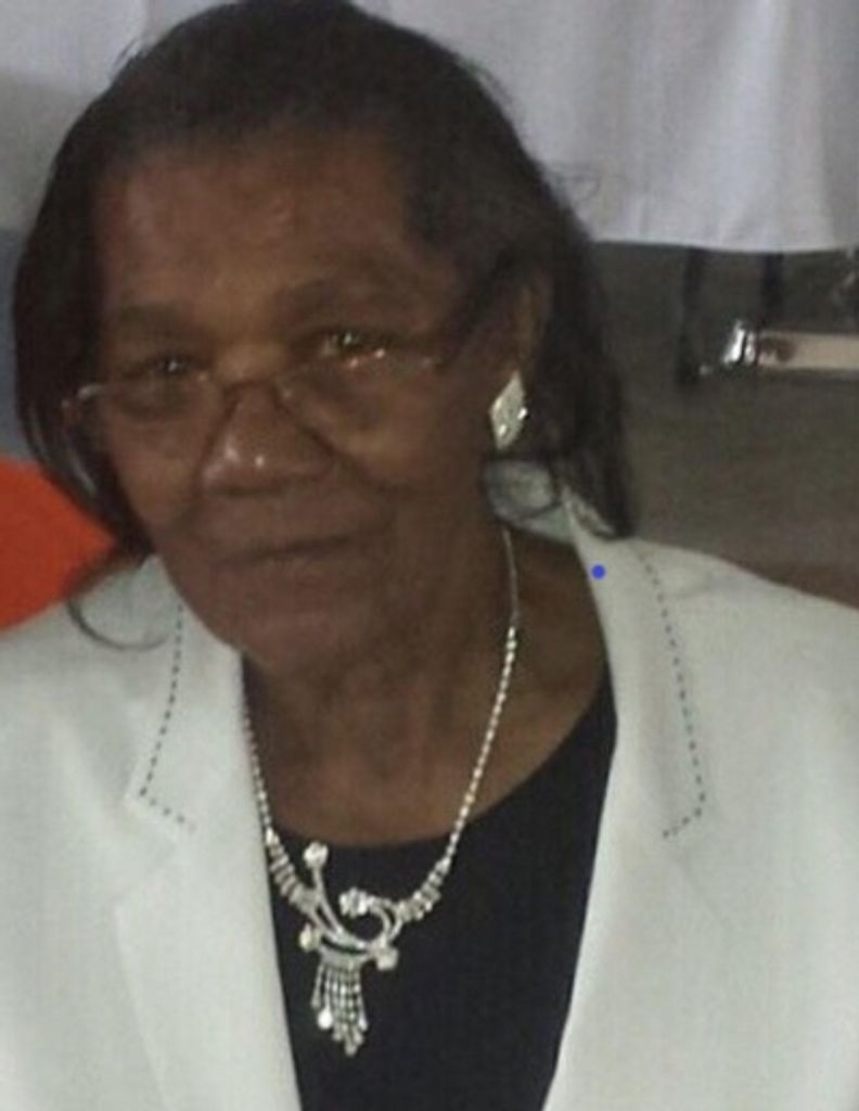 Mary Virginia Barnes