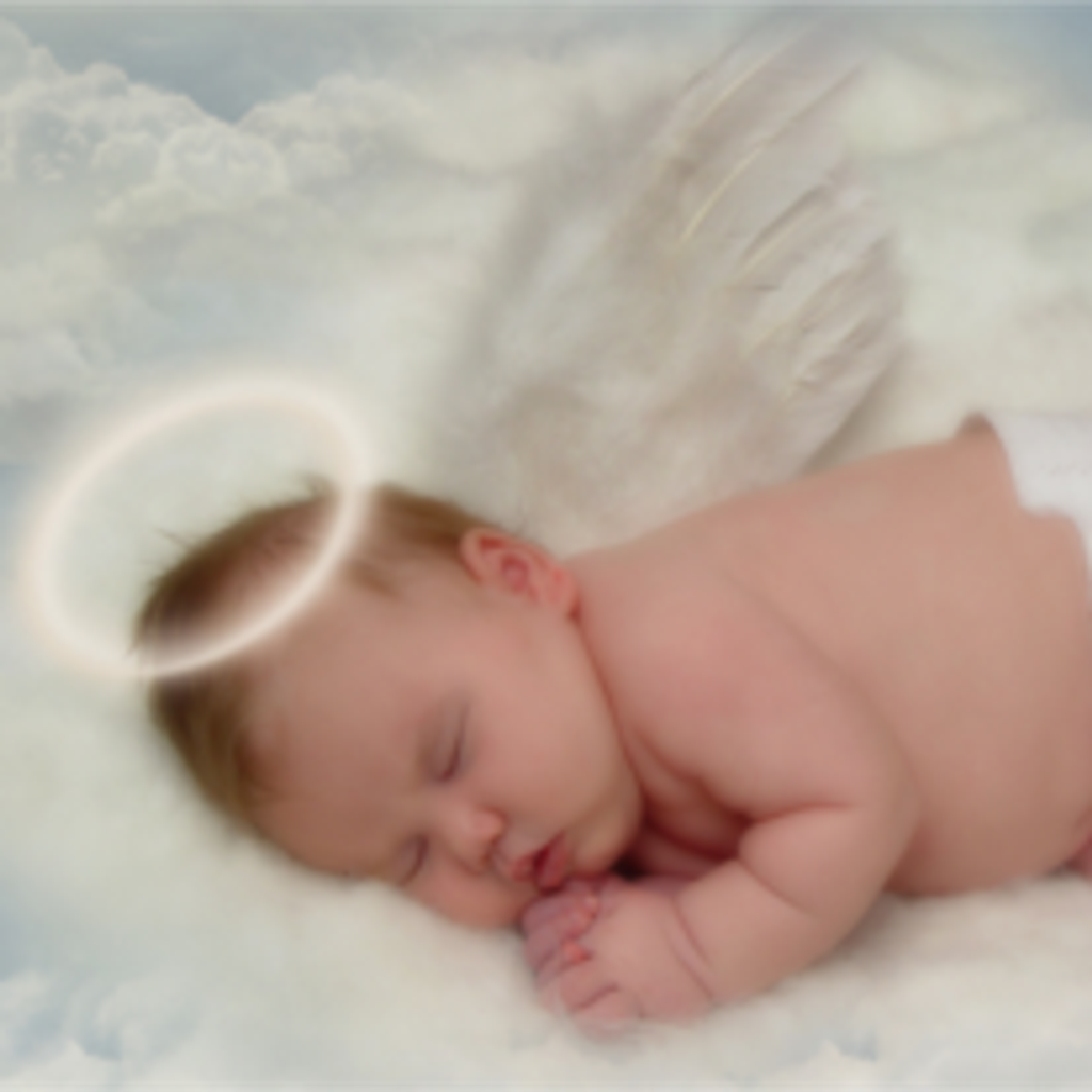 Baby Vasquez Profile Photo