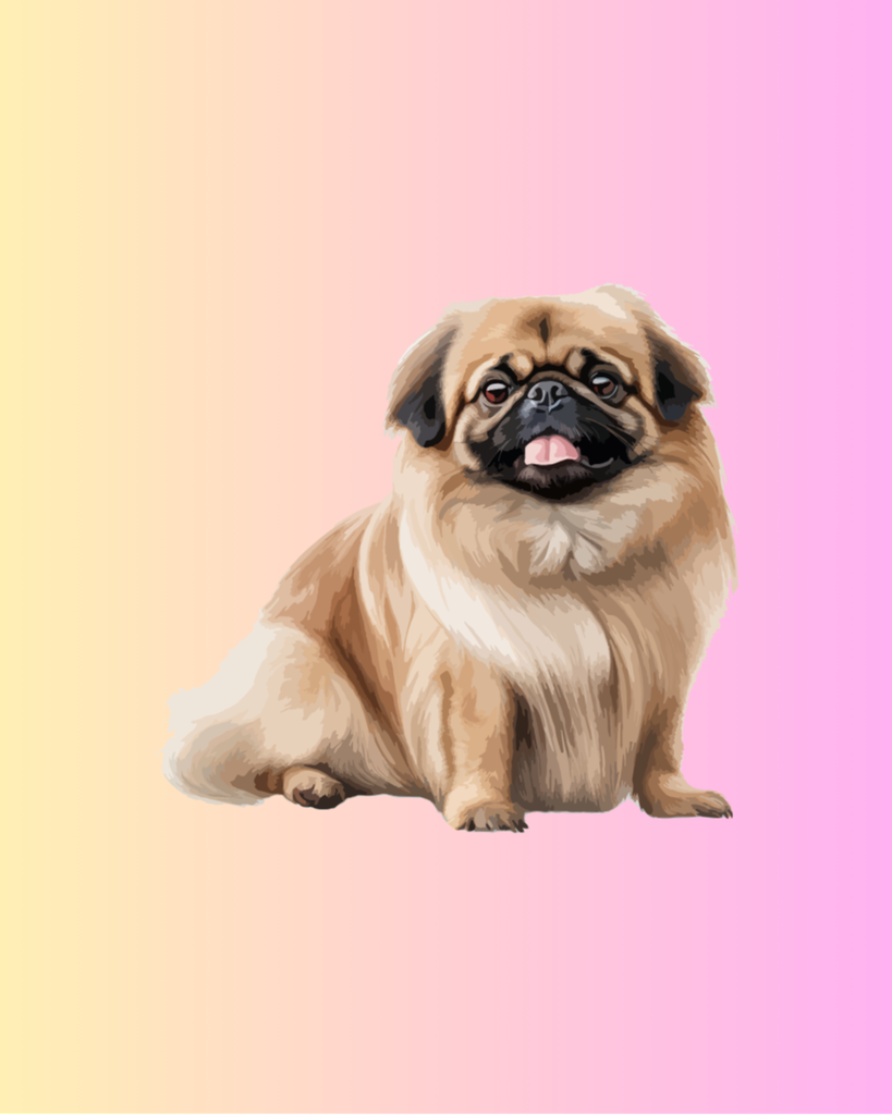 Mei Li Campo Profile Photo