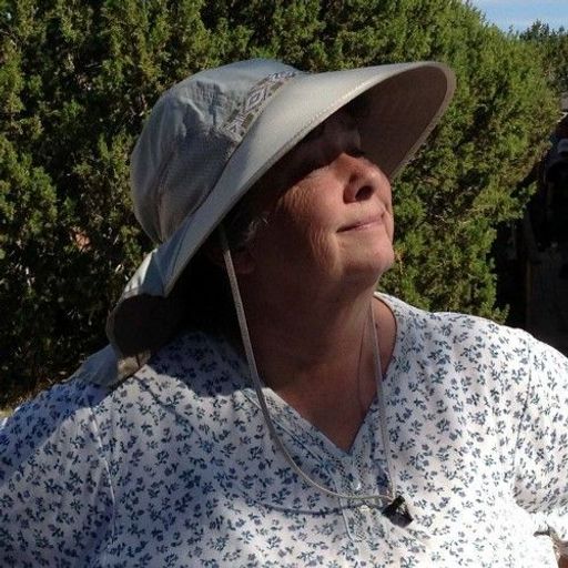 Debra S. Donis Profile Photo
