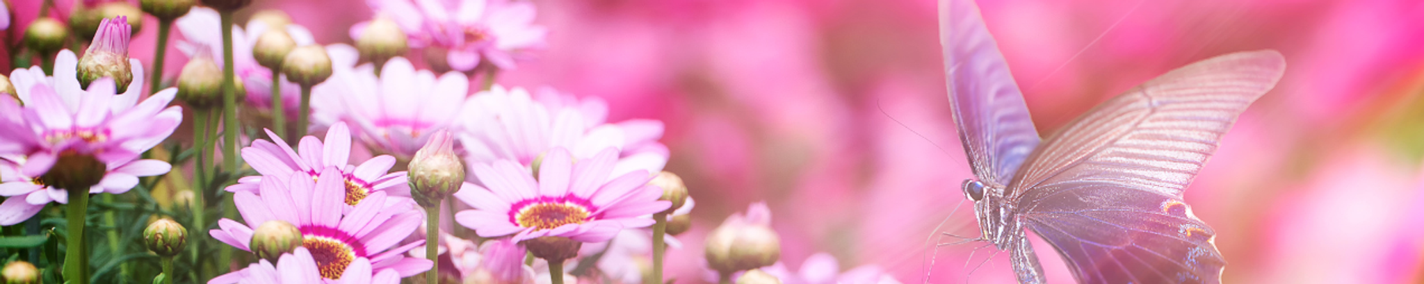 Cover photo for Dorothy Lorraine Troxell's Obituary