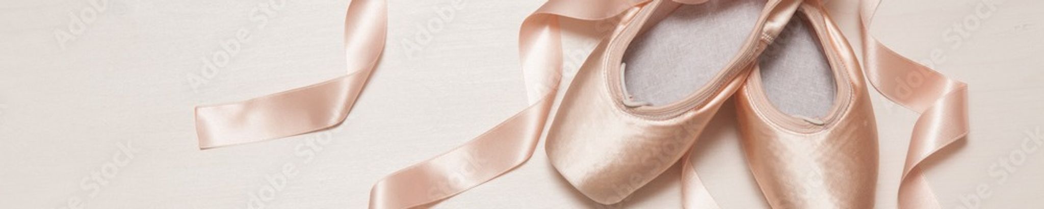 Cover for Charlotte Faulkner Johnston's Obituary