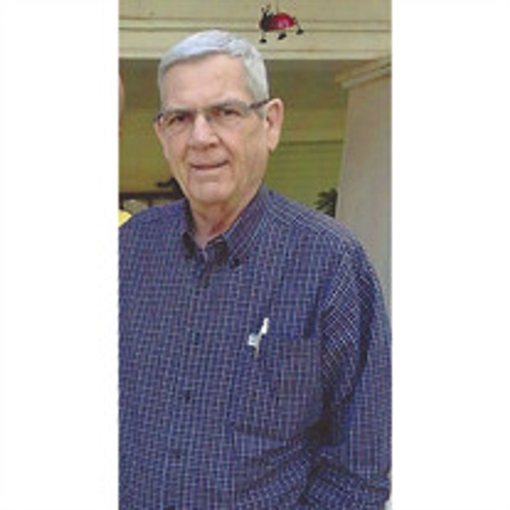 Robert Gibbins
