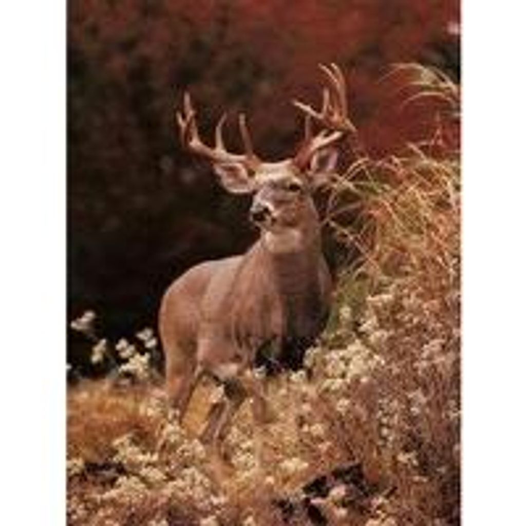 Charles "Chuck" Edward Mcdonald Profile Photo