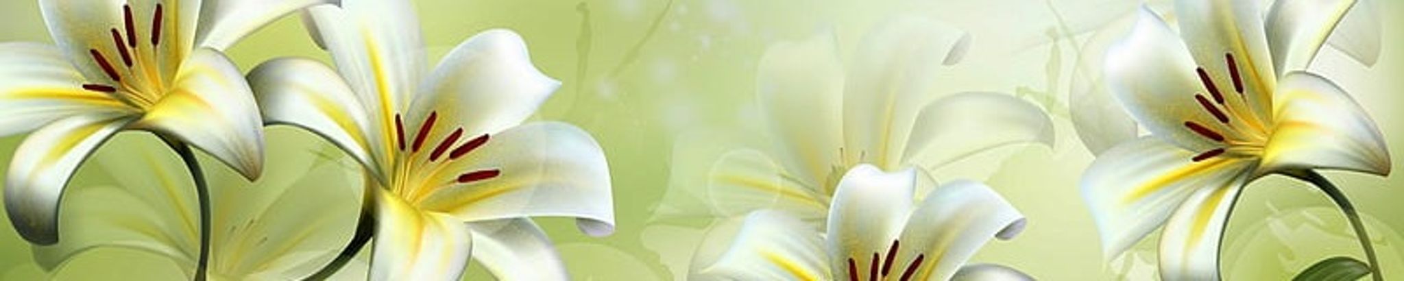 Cover photo for Fay Janette Roman (nee Dow)'s Obituary