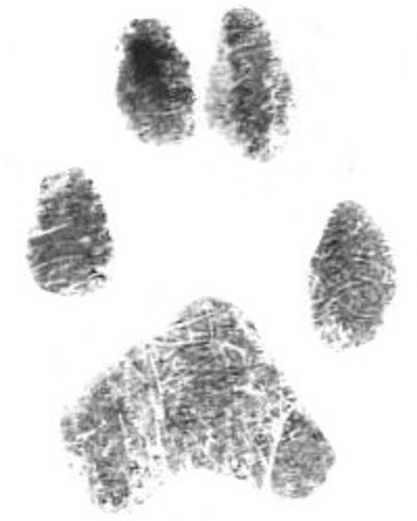 Chester Leonhardt Profile Photo
