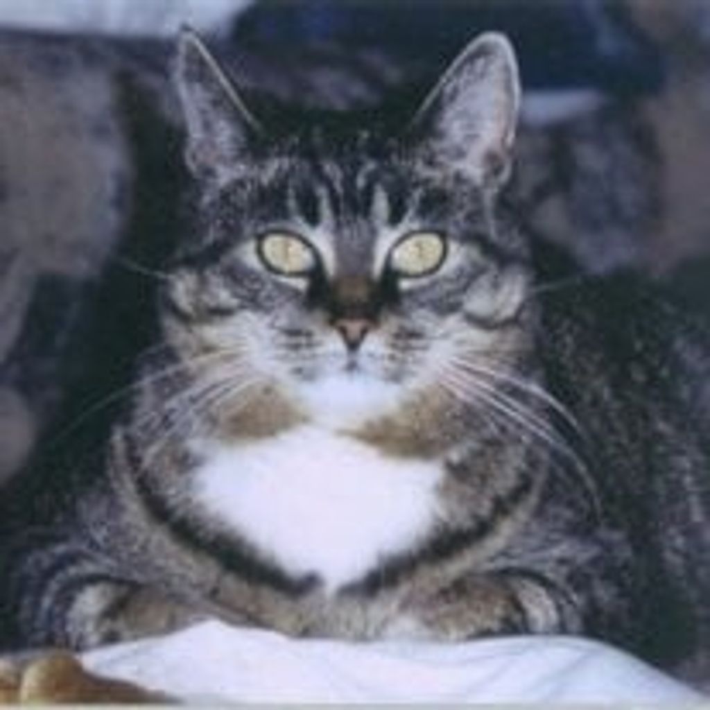 Potts Varner- Bell Profile Photo