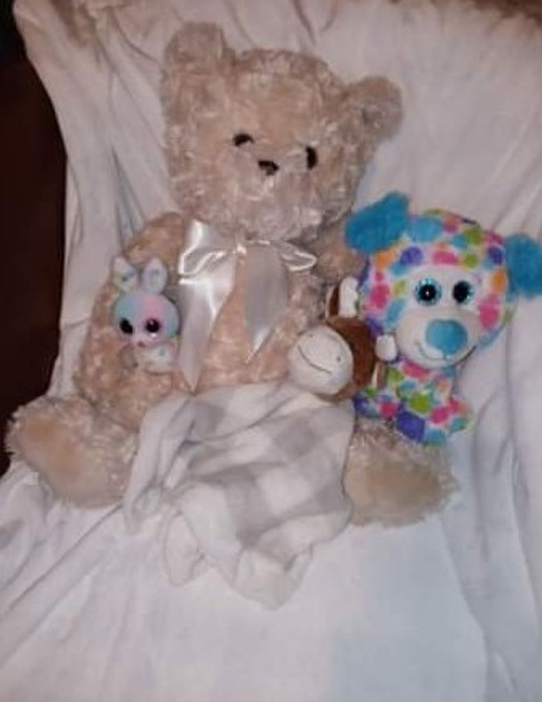 Liam Michael Niklaus Nieves