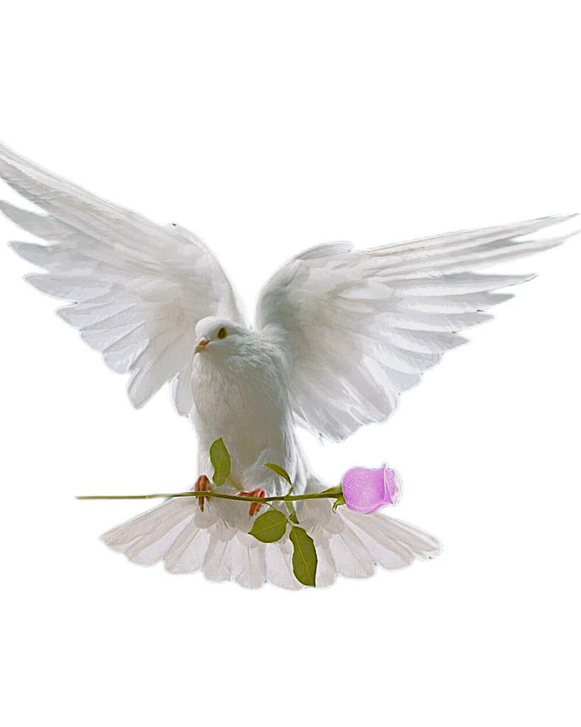 Shirley Dianne Favor