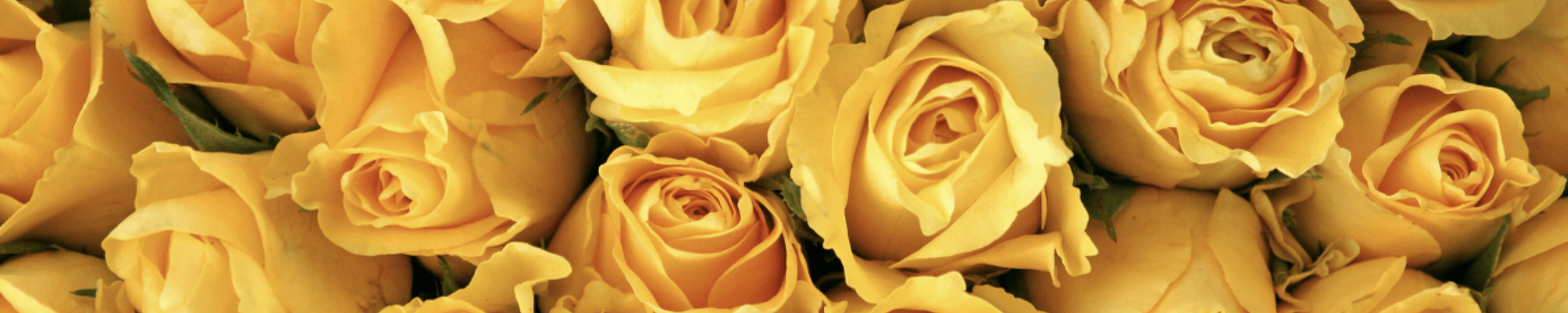 Cover for Beverly Fenbert's Obituary