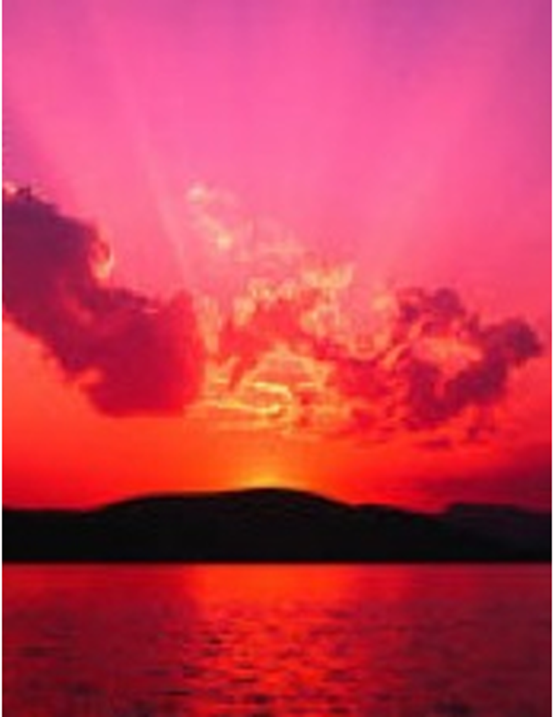 Patricia Ann Jarling