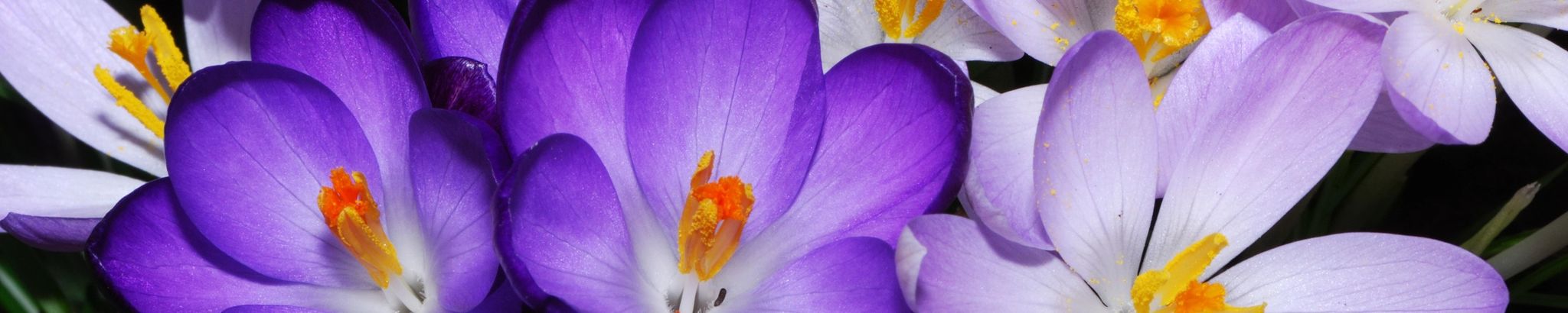 Cover photo for Maria Aida Lopez's Obituary