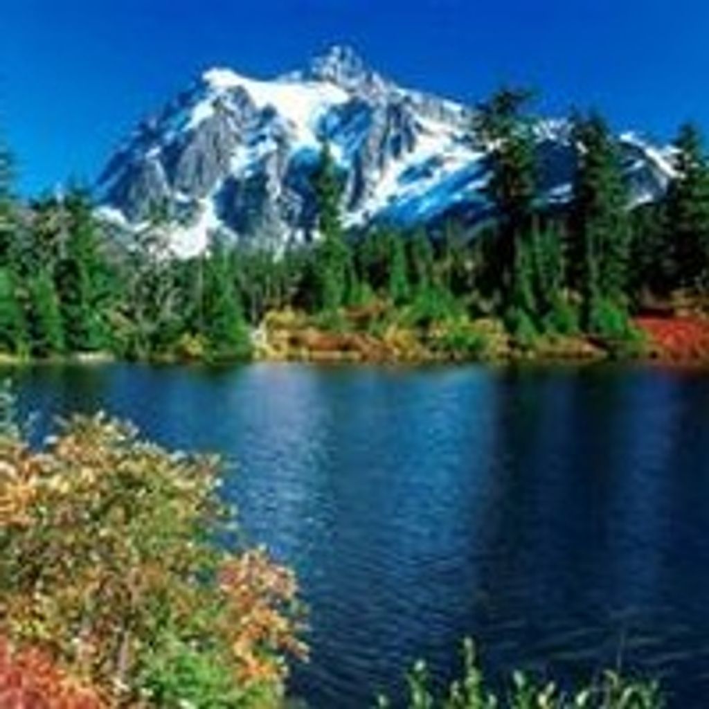 Manuel Quezada Profile Photo