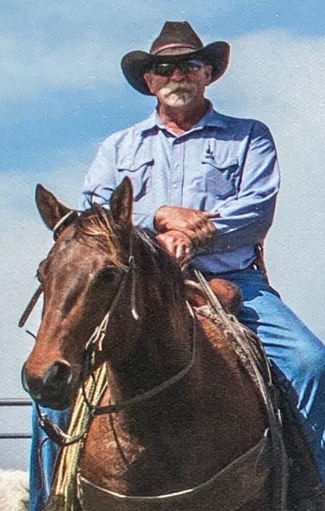 Horace "Dee" Cribbs Iv Profile Photo