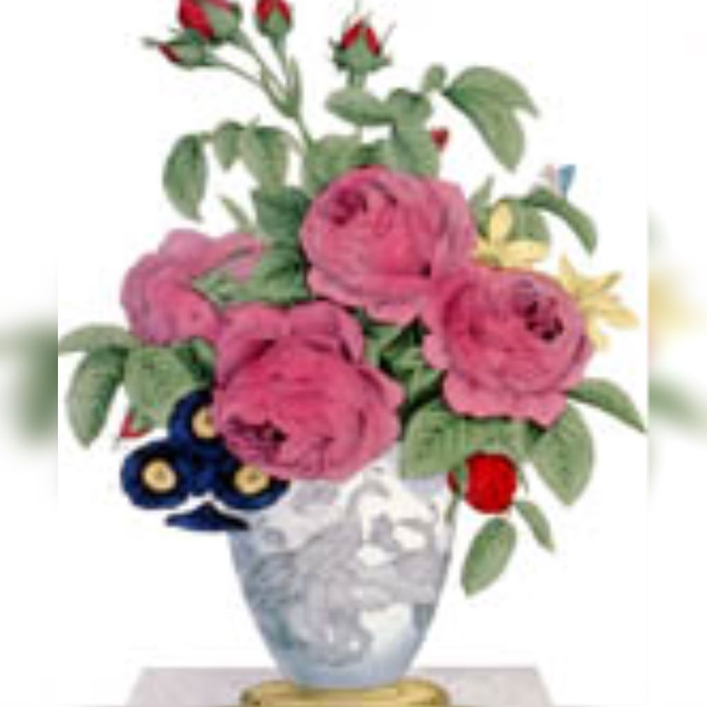 Dorothy Mae Finch Profile Photo