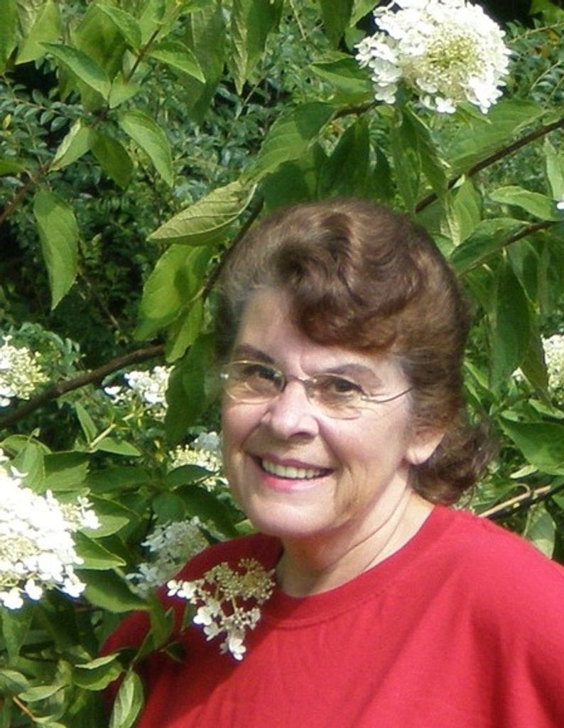 Mary Lee Jenkins