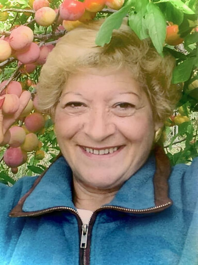 Rosina Cuticone
