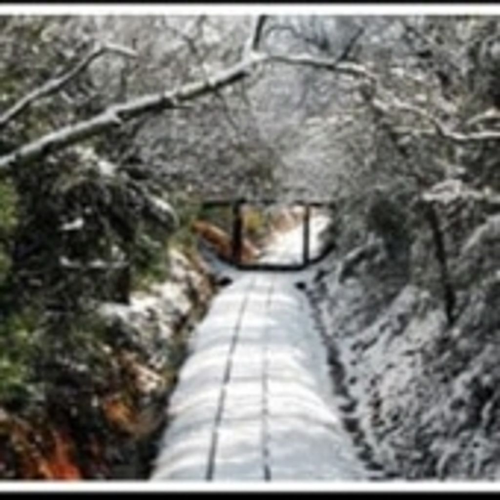 Waldron Hayne Dyches Sr.