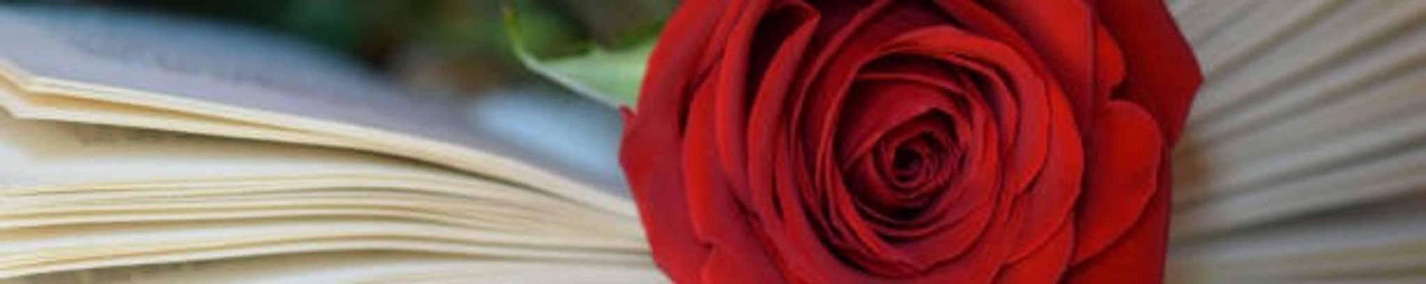 Cover photo for Gladys Lillian Davis's Obituary