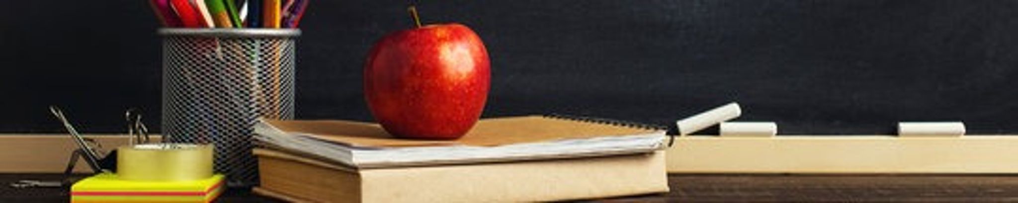 Cover for Frances T. Youngblood's Obituary