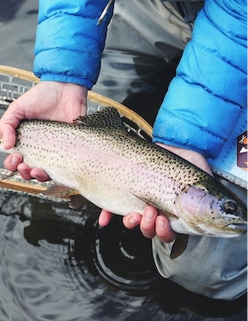 Wendell Jerome Harrell