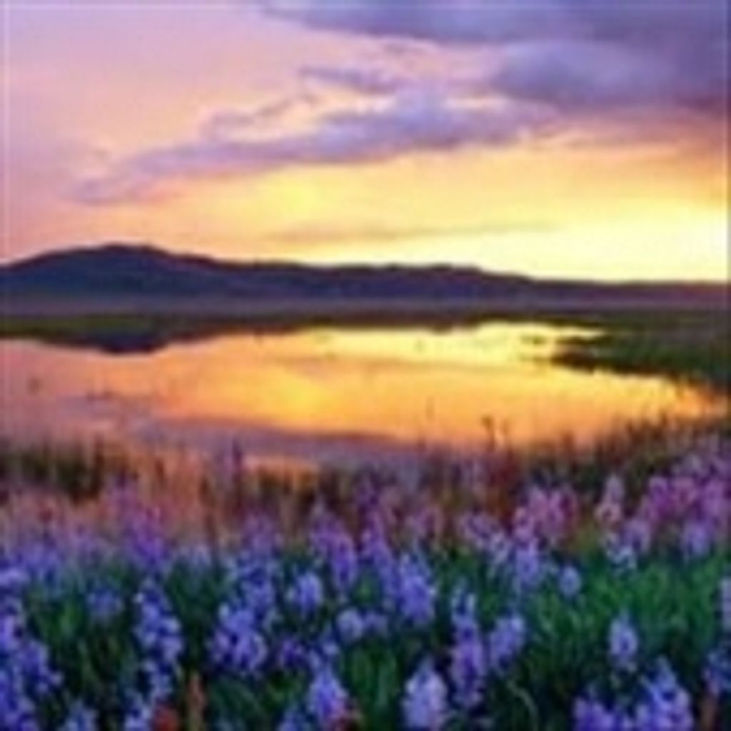 Annie Ruth Alexander