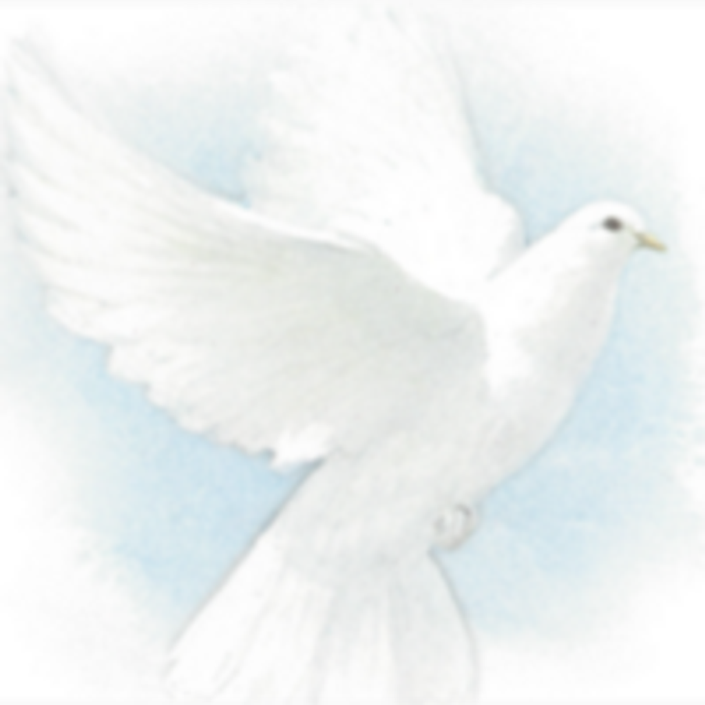 Alice Mae Fulkrod Profile Photo
