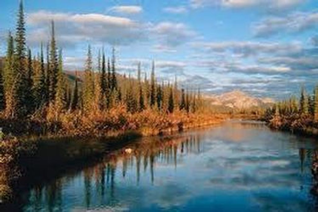 Floyd "Mike" Peak Profile Photo