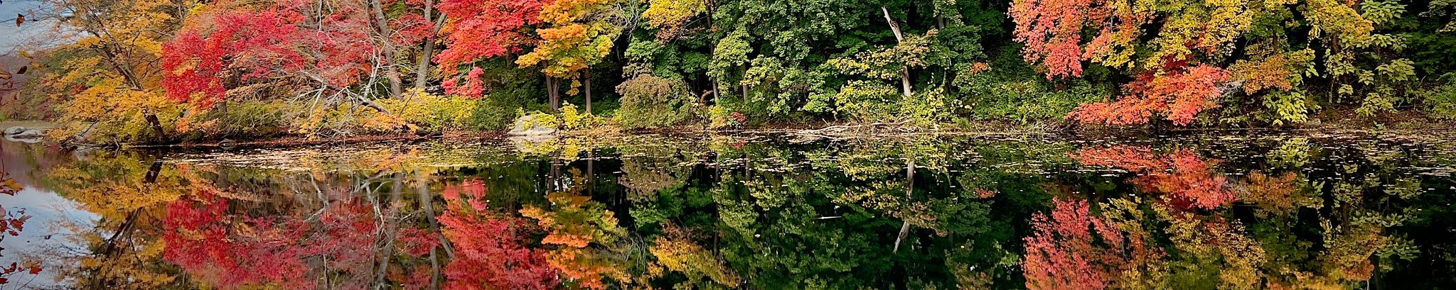 Cover for Michelle "Tootsie" Faria's Obituary