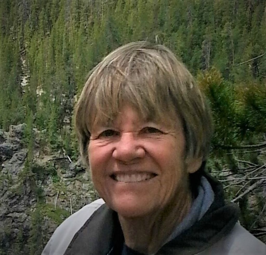Jo Ann Whitman