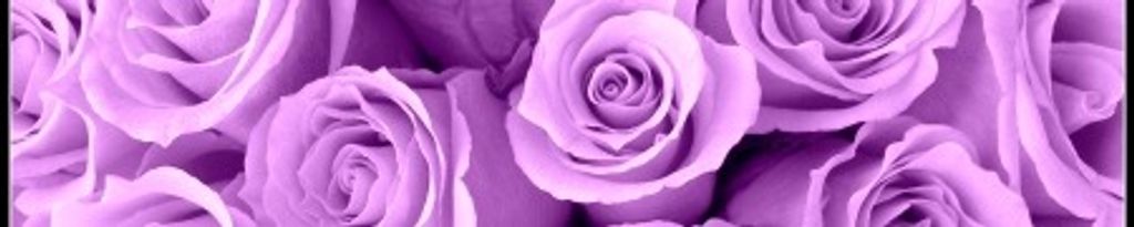 Cover photo for Sarah Melissa Hutchins (McGuire)'s Obituary