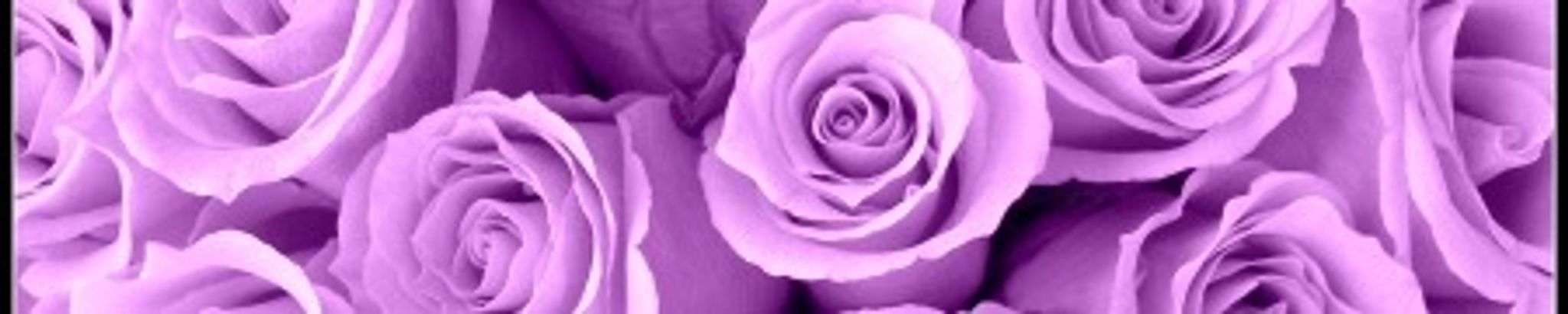 Cover for Sarah Melissa Hutchins (McGuire)'s Obituary