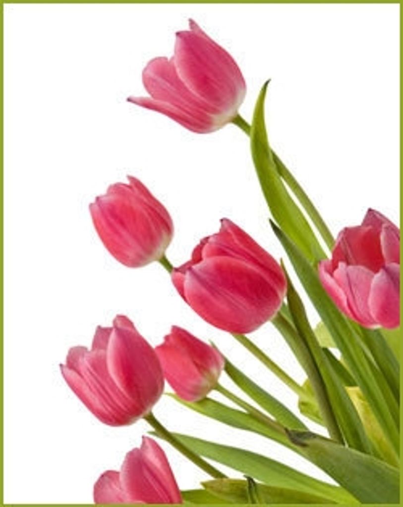 Helen C Belcher Profile Photo